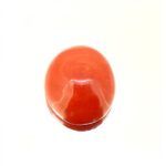Red Coral 15.19 Carat (16.88 Ratti) - Image 2