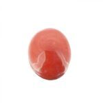 Red Coral 15.19 Carat (16.88 Ratti) - Image 3