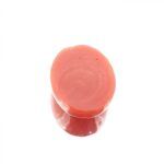 Red Coral 15.19 Carat (16.88 Ratti) - Image 4