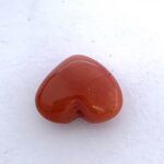 Red Coral 6.56 Carat (7.30 Ratti) - Image 3