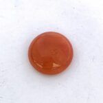 Red Coral 7.86 Carat (8.73 Ratti)