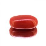 Red Coral 8.40 Carat (9.33 Ratti)
