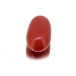 Red Coral 8.40 Carat (9.33 Ratti) - Image 4