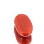 Red Coral 10.02 Carat (11.13 Ratti) - Image 3