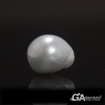 Keshi Pearl (Moti) 7.01Carat (7.71Ratti) - Image 2