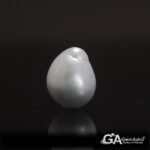 Keshi Pearl (Moti) 7.01Carat (7.71Ratti)