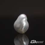 Keshi Pearl (Moti) 7.67Carat (8.43Ratti)