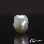 Keshi Pearl (Moti) 7.06 Carat (7.76Ratti)