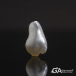 Keshi Pearl (Moti) 7.21Carat (7.93Ratti) - Image 2