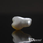 Keshi Pearl (Moti) 7.21Carat (7.93Ratti) - Image 3