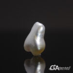 Keshi Pearl (Moti) 7.21Carat (7.93Ratti)