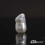 Keshi Pearl (Moti) 5.66Carat (6.22Ratti) - Image 3