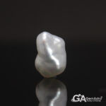 Keshi Pearl (Moti) 8.33Carat (9.16Ratti)