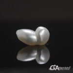 Keshi Pearl (Moti) 7.61Carat (8.37Ratti) - Image 3