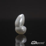 Keshi Pearl (Moti) 7.61Carat (8.37Ratti)