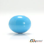 Turquoise (Firoza) 11.8 Carat (12.98 Ratti) - Image 3