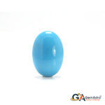 Turquoise (Firoza) 8.54 Carat (9.39 Ratti)