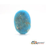 Turquoise (Firoza) 10.58 Carat (11.63 Ratti) - Image 2