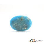 Turquoise (Firoza) 10.58 Carat (11.63 Ratti) - Image 3