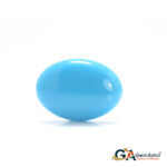 Turquoise (Firoza) 8.72 Carat (9.59 Ratti) - Image 2