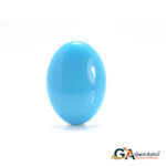 Turquoise (Firoza) 8.72 Carat (9.59 Ratti)
