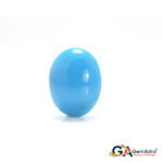 Turquoise (Firoza) 7.11 Carat (7.82 Ratti)