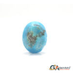 Turquoise (Firoza) 9.02 Carat (9.92 Ratti) - Image 2