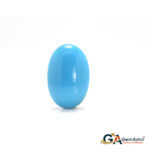 Turquoise (Firoza) 8.64 Carat (9.50 Ratti)