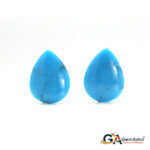 Turquoise (Firoza) 18.82 Carat (20.70 Ratti) - Image 2