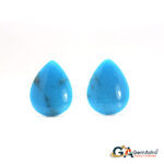 Turquoise (Firoza) 18.82 Carat (20.70 Ratti)