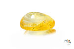 Yellow Sapphire 4.54 Carat (4.99 Ratti) - Image 4