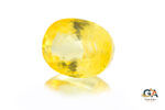 Yellow Sapphire 7.22 Carat (8.00 Ratti) - Image 3