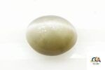 Cats Eye (Lehsuniya) 7.86 Carat (8.73 Ratti) - Image 3