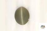 Cats Eye (Lehsuniya) 5.85 Carat (6.50 Ratti)