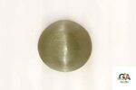 Cats Eye (Lehsuniya) 4.40 Carat (4.89 Ratti) - Image 2