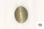 Cats Eye (Lehsuniya) 5.95 Carat (6.61 Ratti)