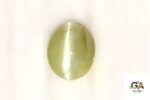 Cats Eye (Lehsuniya) 7.75 Carat (8.61 Ratti) - Image 3