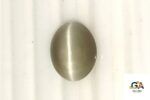 Cats Eye (Lehsuniya) 8.16 Carat (9.07 Ratti)