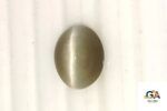 Cats Eye (Lehsuniya) 8.16 Carat (9.07 Ratti) - Image 2