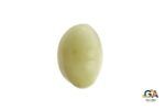 Cats Eye (Lehsuniya) 8.16Carat (8.97Ratti) - Image 2