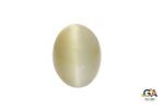 Cats Eye (Lehsuniya) 13.78Carat (15.15Ratti)