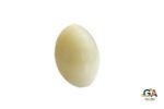 Cats Eye (Lehsuniya) 13.78Carat (15.15Ratti) - Image 2