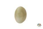 Cats Eye (Lehsuniya) 13.78Carat (15.15Ratti) - Image 3