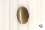 Cats Eye (Lehsuniya) 6.80 Carat (7.55 Ratti)