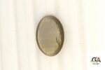 Cats Eye (Lehsuniya) 6.80 Carat (7.55 Ratti) - Image 3