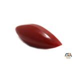 Red Coral 6.32 Carat (7.01 Ratti) - Image 2