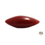 Red Coral 6.32 Carat (7.01 Ratti) - Image 3