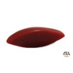 Red Coral 6.32 Carat (7.01 Ratti) - Image 4