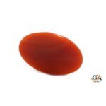 Red Coral 9.05 Carat (9.95 Ratti) - Image 5