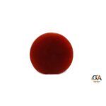 Red Coral 5.27 Carat (5.79 Ratti) - Image 4